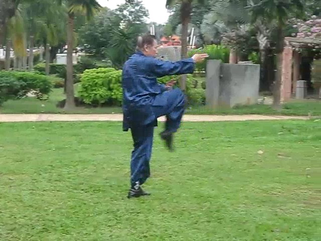 Shaolin 36 Leg Techniques